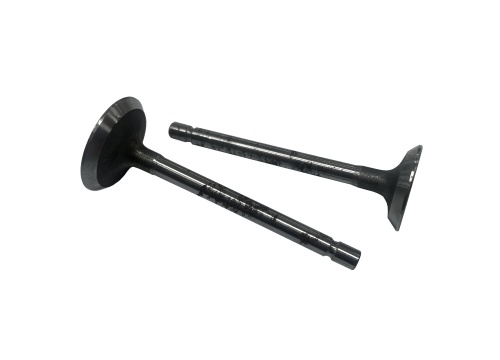 Клапан впускной/выпускной 177F VAL-CQZIP-19-1