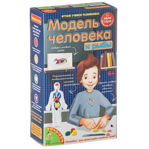 Модель человека - японские научно-познавательные опыты Науки с Буки Bondibon