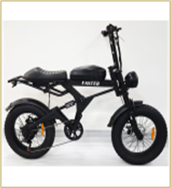 Электровелосипед "FASTER" RLSD-004 20", 240W, цвет черный
