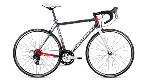 Велосипед FORWARD IMPULSE 480 (28'' 14ск.) серый, RBKW9R68B003