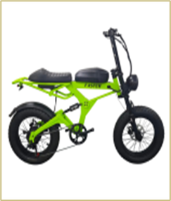 Электровелосипед FASTER RLSD-004 20", 240W, цвет зеленый