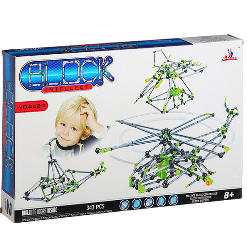Конструктор Block Intellect, 343 детали 252-2