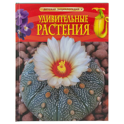 Удивительные растения. Детская энциклопедия