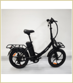 Электровелосипед FASTER RLSD-042 20", 240W, цвет черный