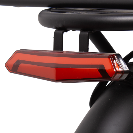 Электровелосипед 24" Ecoliner Okami 240W 36V 10.4ah (с передней и задней корзиной)