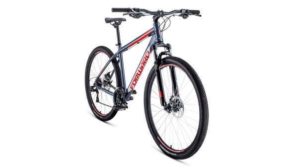 Велосипед FORWARD APACHE 29 2.0 disc (29" 21 ск. рост 21") 2019-2020, серый/красный, RBKW0M69Q026