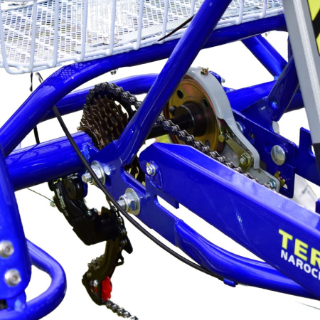 Электровелосипед трехколесный Terax NAROCH 240W 48V 15ah