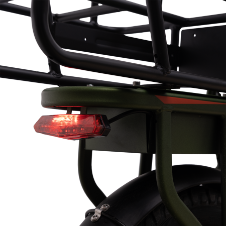 Электровелосипед ECOLINER MONSTER 16" 240Вт 60В 21А/ч