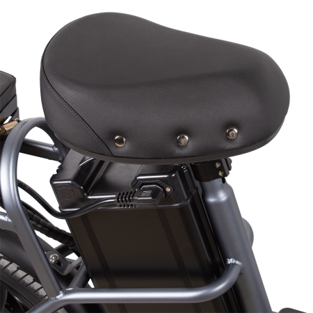 Электровелосипед ECOLINER BOSS 20" 240Вт 60В 20,5А/ч