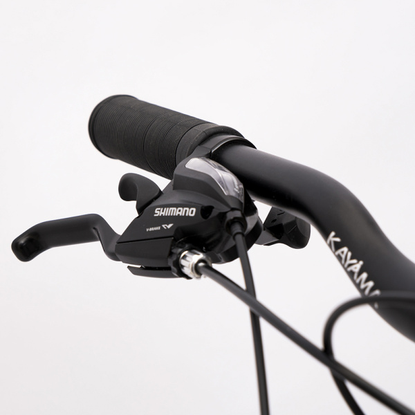 Велосипед KAYAMA Neo 29/21/черный