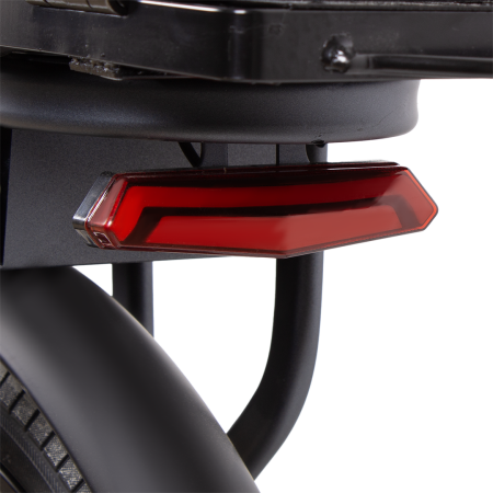 Электровелосипед ECOLINER BOSS 20" 240Вт 48В 13А/ч