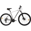 Велосипед KAYAMA Neo 29/21/серый