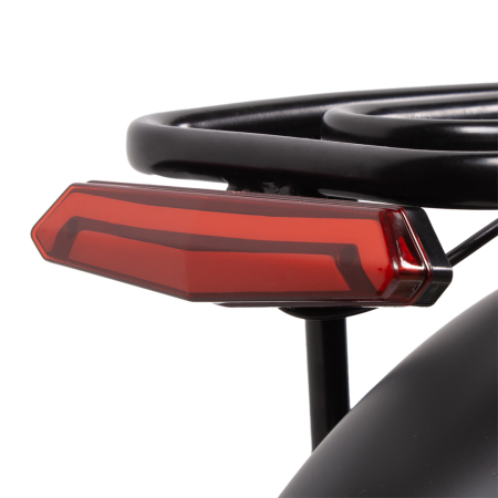 Электровелосипед 20" Ecoliner Hobbit,allou  240W 48V 10.4ah