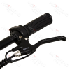 Электросамокат FASTER RLSD-046 12" 240W, цвет черный
