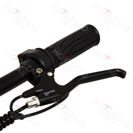 Электросамокат FASTER RLSD-046 12" 240W, цвет черный