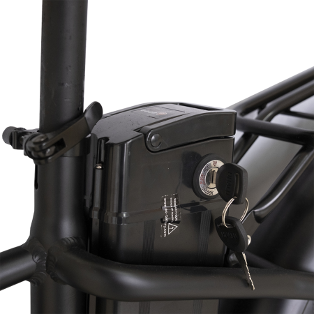 20" Hobbit 48V  Электровелосипед в комплекте