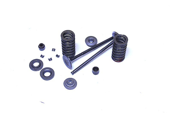Клапаны ГРМ 170MM-2 (CB250) water, 4V / 177MM (NC250) (компл=4шт+ремкомплект) ZS