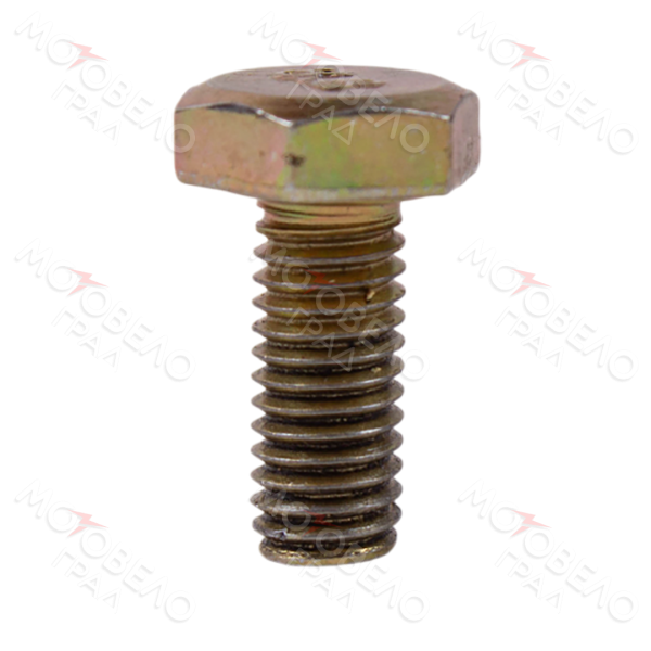 Болт М5 х12*0.8, звезды ГРМ 139FMB, 147FMD, 152FMH; 50-110сс, ALPHA, DELTA, ATV