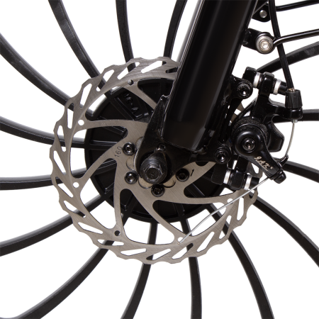 Электровелосипед ECOLINER BOSS 20" 240Вт 48В 13А/ч