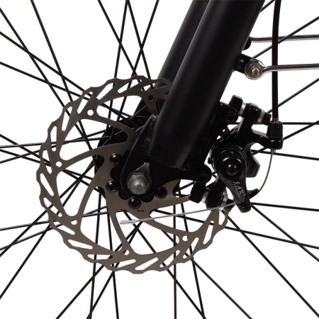 Электровелосипед 24" Ecoliner Okami 240W 36V 10.4ah (с передней и задней корзиной)