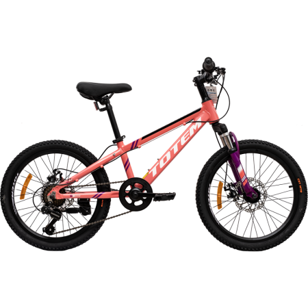 Велосипед TOTEM Sunshine 20" D (20" 7ск 10") 2023 розовый, алюм