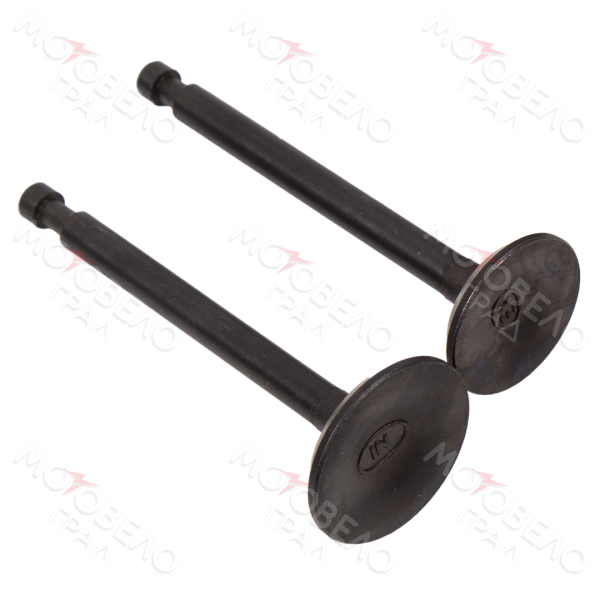 Клапаная пружина + тарелка впускного клапана + сальник клапана 177F