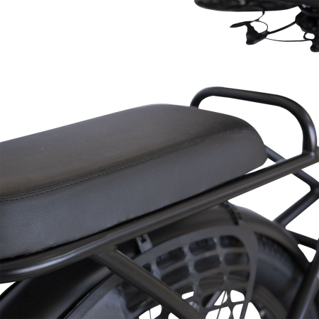24" e-ALFA 48V Электровелосипед в комплекте